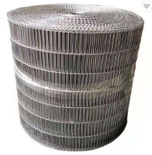 गुणवत्ता  Customized Metal Wire Stainless Steel Mesh Belt Conveyor Chain कारखाना