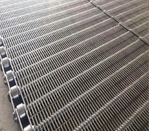 फार्मास्युटिकल उद्योग कन्वेयर के लिए स्टेनलेस स्टील वायर मेष