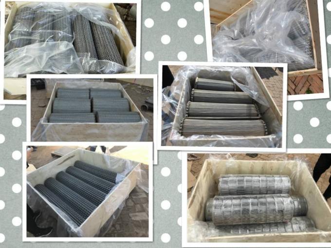 SUS316L स्टेनलेस स्टील कन्वेयर बेल्ट फैब्रिकेशन मेष वायर 6