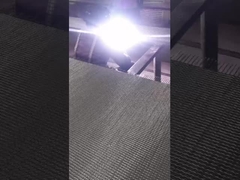 उच्च तापमान प्रतिरोध हीट ट्रीटमेंट वायर मेष